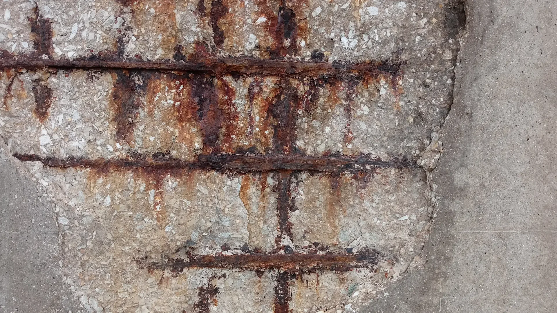 Pathologie des structures